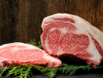 「炙り コギヤ 町屋」「肉匠 コギヤ 宴庭 五反田」／KOGIYA GROUP（株式会社 廣村商事） 求人